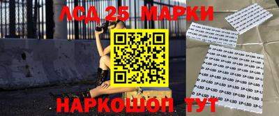 2c-b Камышлов