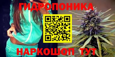 тгк Канаш