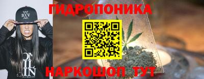 2c-b Камышлов
