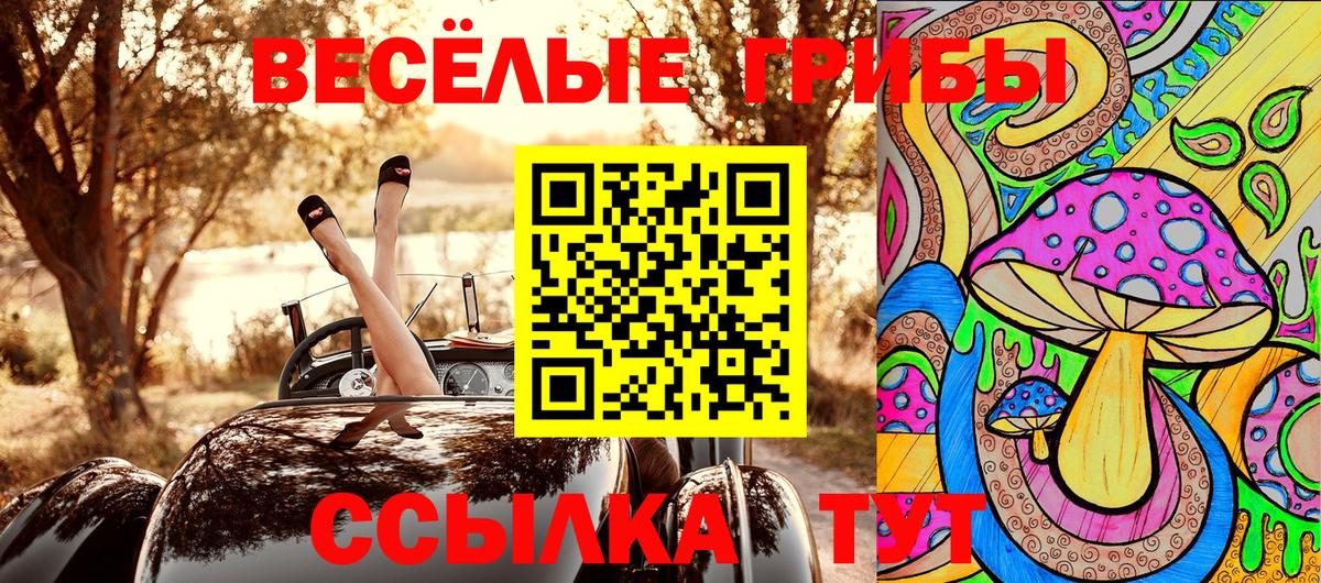 Каспийск  Псилоцибиновые грибы Psilocybine cubensis  Вход с VPN 